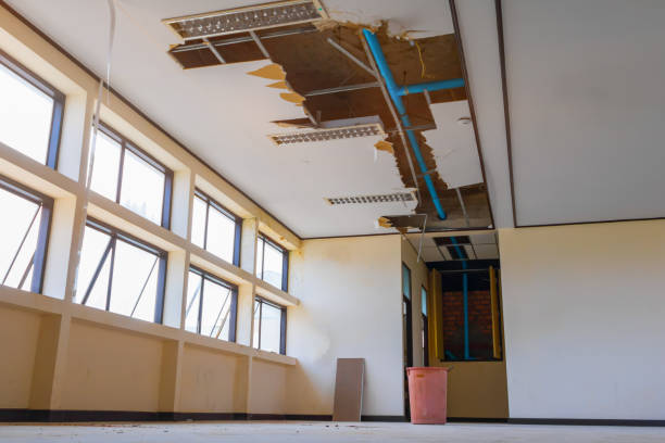 Best 24/7 water damage repair  in Paterson, NJ