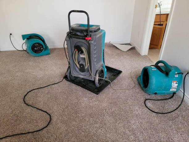Best Mold removal after water damage  in Paterson, NJ