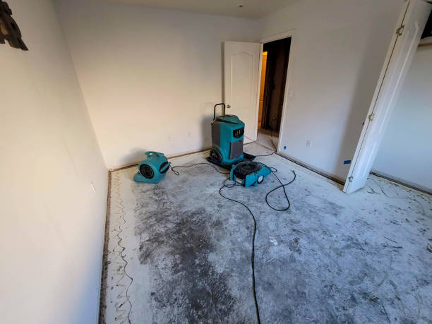 Best Water damage restoration specialists  in Paterson, NJ