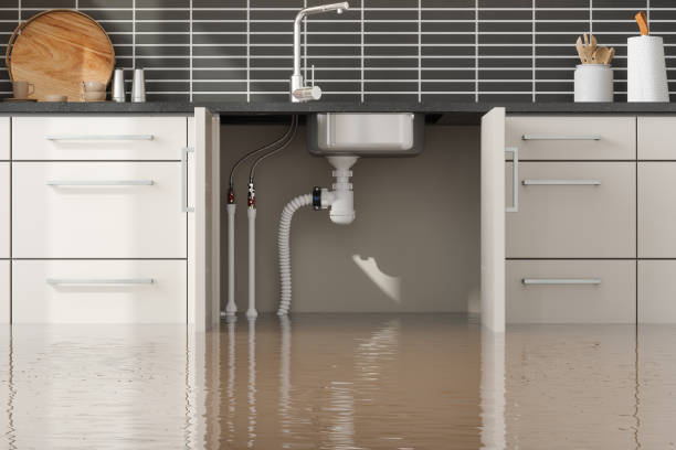 Best Flooded house restoration  in Paterson, NJ